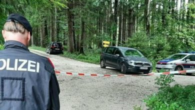 Photo of Detalji zločina u Austriji: Državljanka BiH nasmrt izbodena šrafcigerom