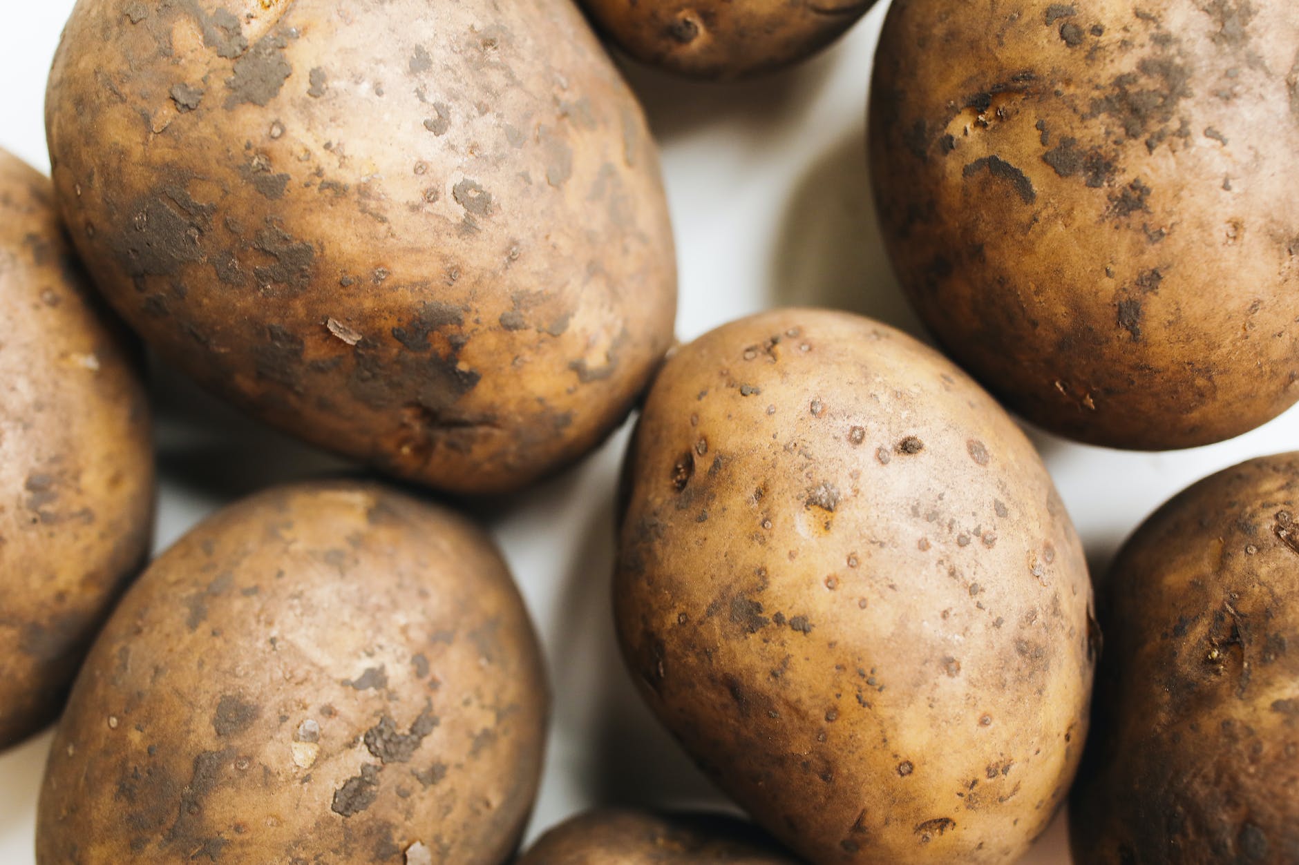 close up photo of potato